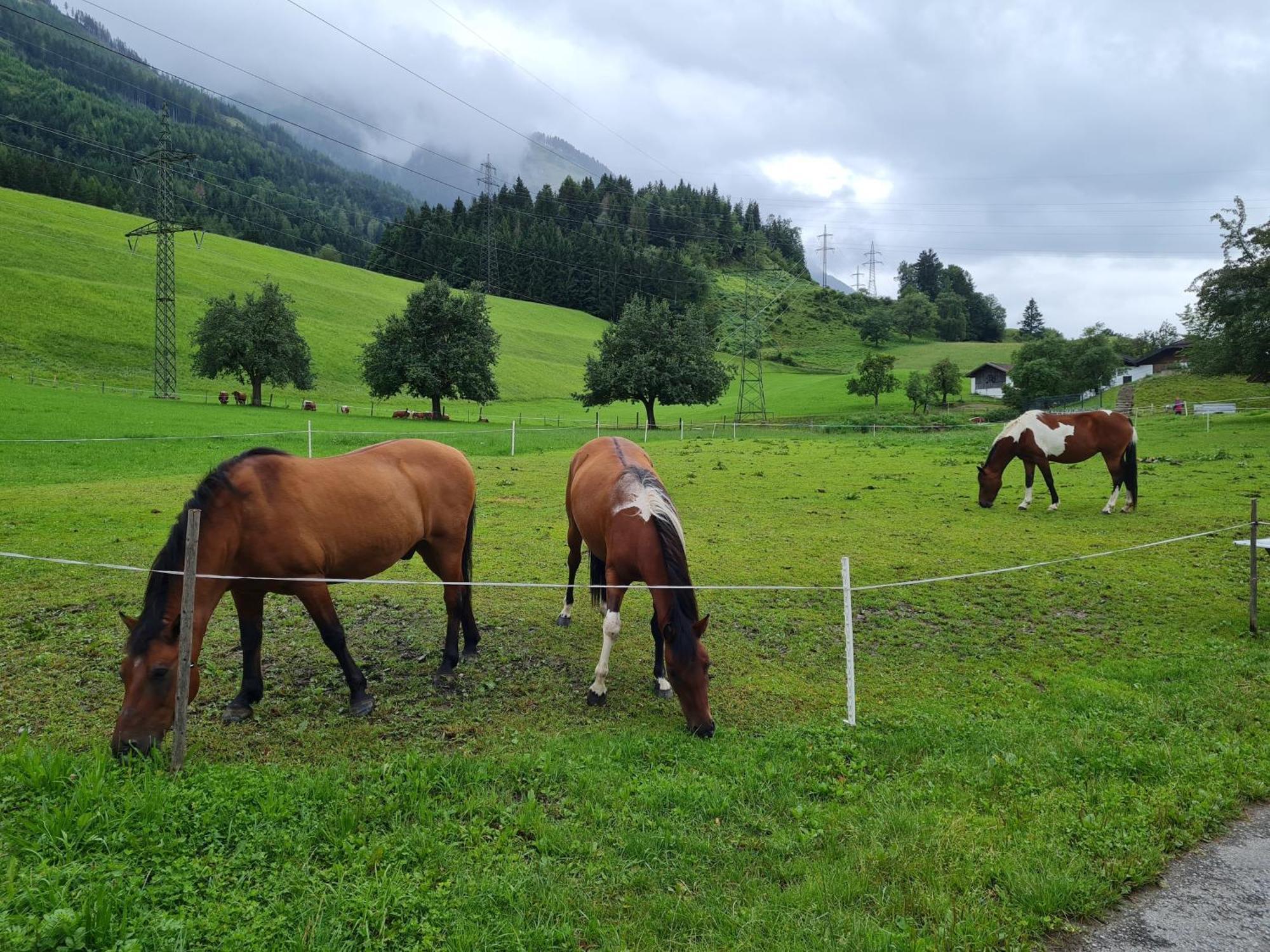 Ferienparadies Taxen Sankt Veit im Pongau Exterior photo