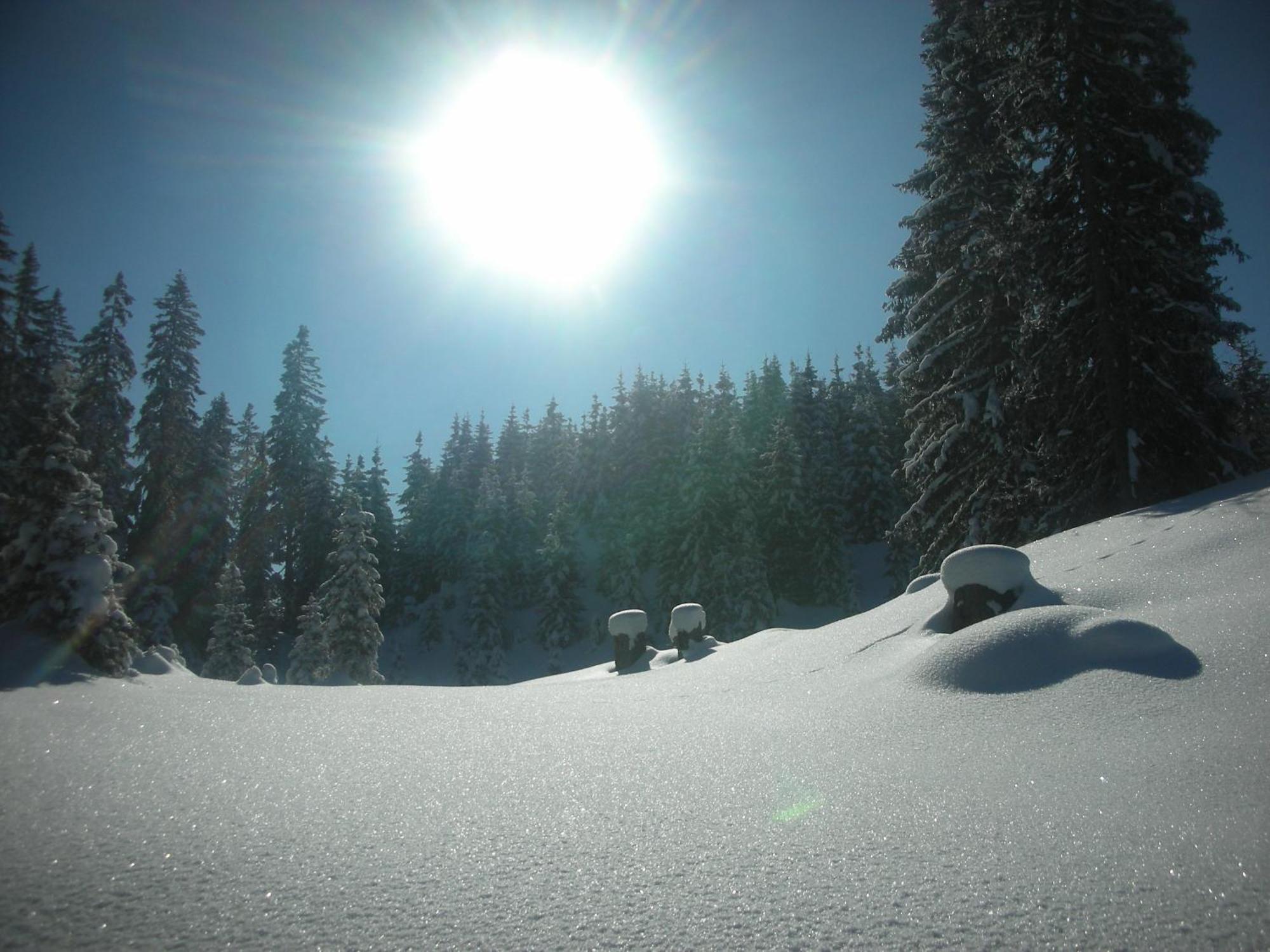 Ferienparadies Taxen Sankt Veit im Pongau Exterior photo
